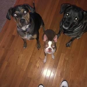 Meet your Posher, David